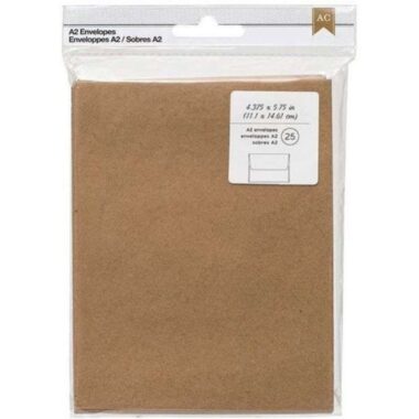 American Crafts Kraft Envelopes - A2