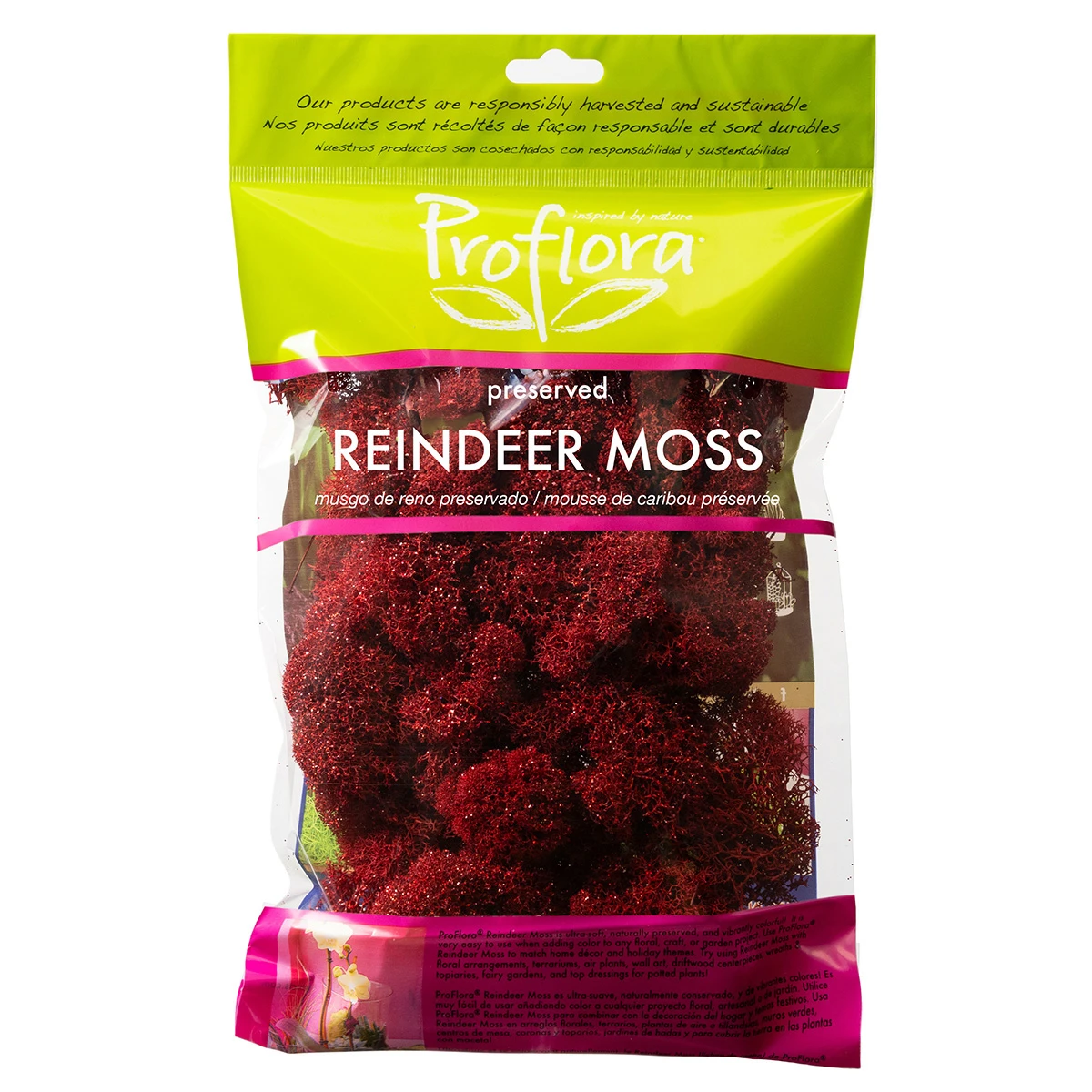 glittered-red-reindeer-moss
