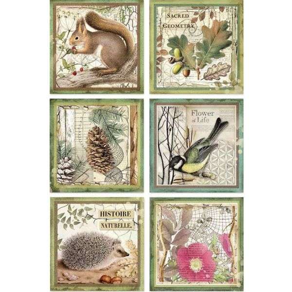 riced-paper-pack-forest-framed-animals