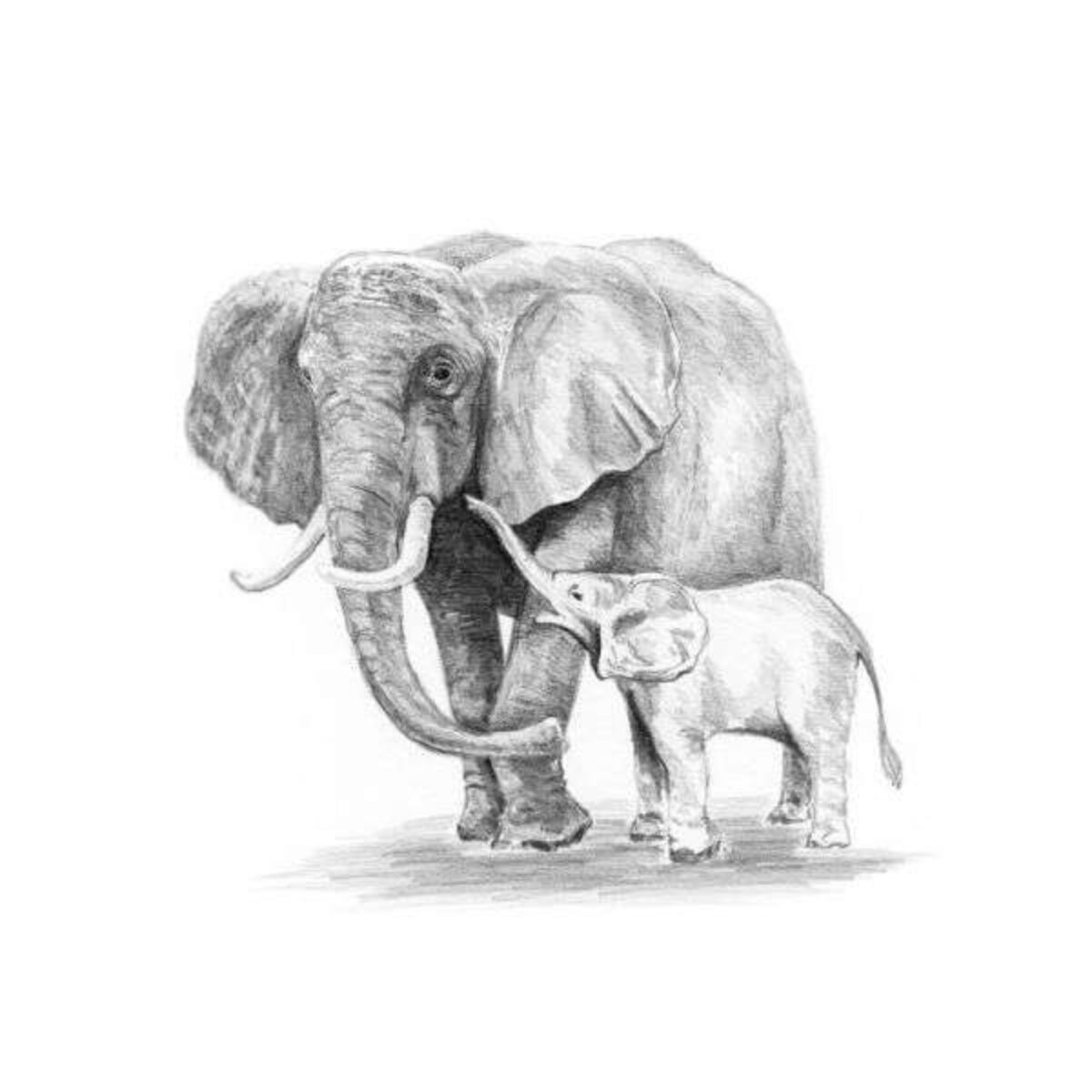 sketching-made-easy-kit-elephant-and-baby-1200x1200