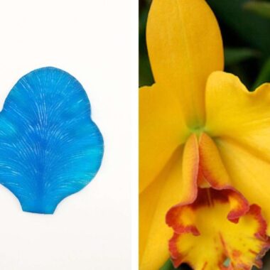 Thai Clay Flower Mould - Cattleya Flower
