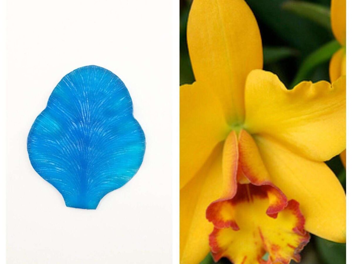 thai-clay-flower-mould-cattleya-flower-1200x900