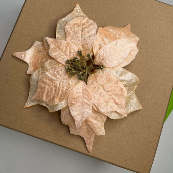Flower Peach 1pp