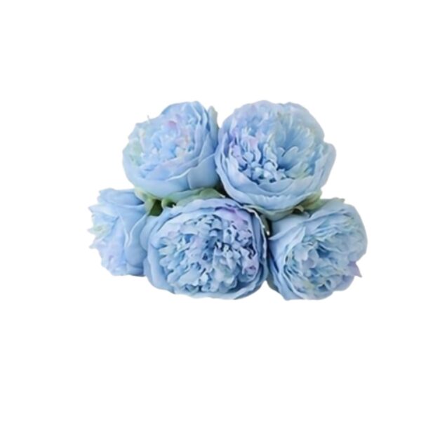 Peonies Sky blue Pack of 5