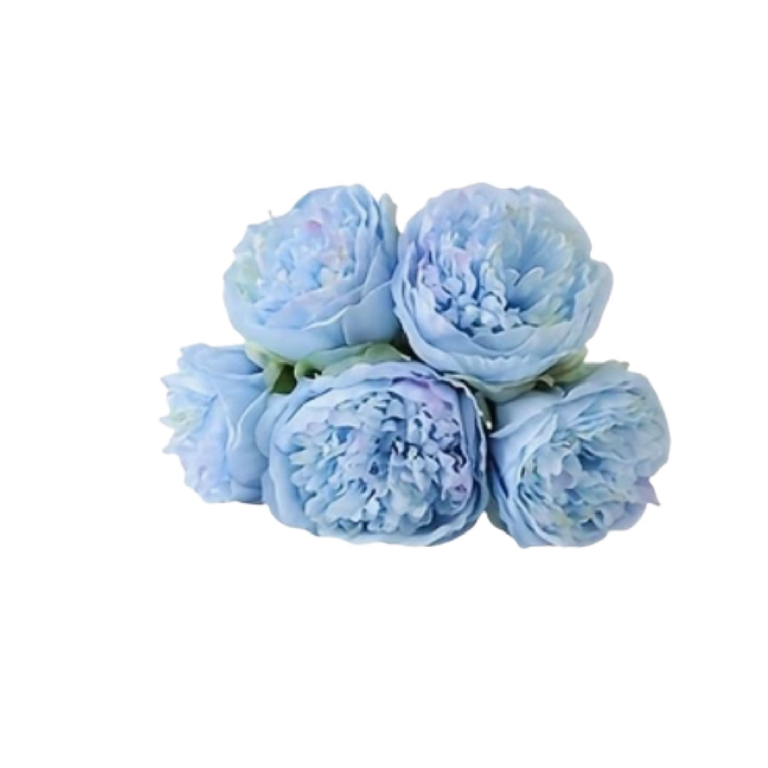 Peonies-blue (2)