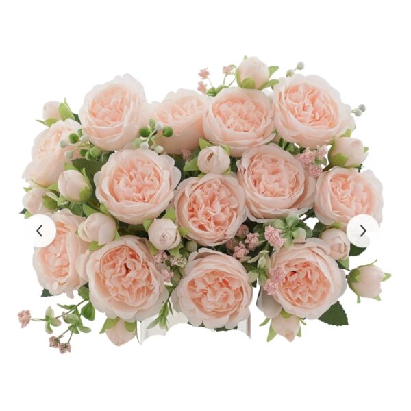 Peonies Baby Pink Pack of 5
