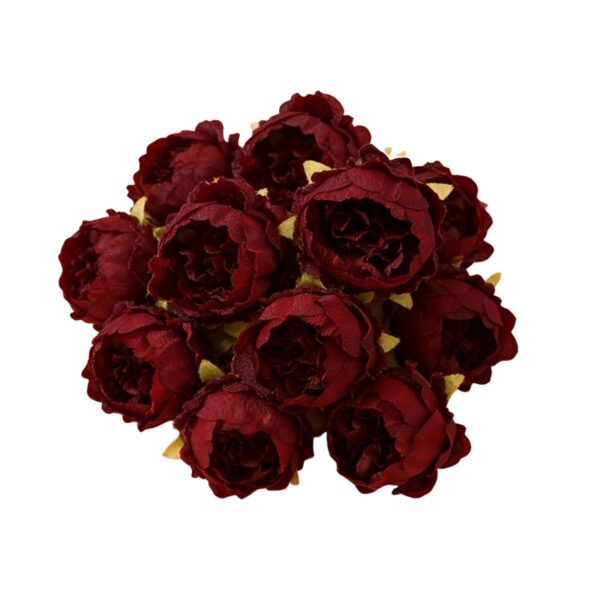Peonies Maroon Pack of 5
