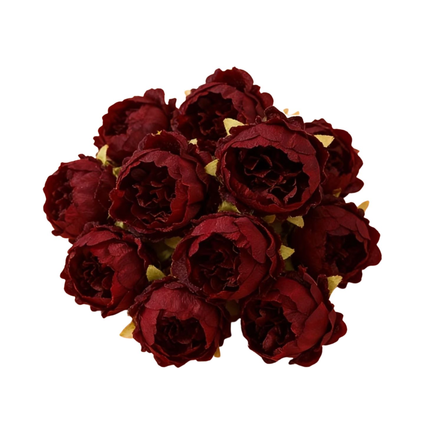 Peonies-maroon (1)
