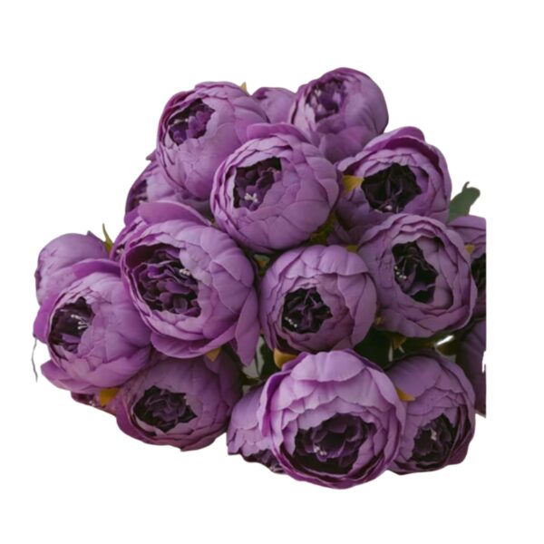 Peonies Violet Pack of 5