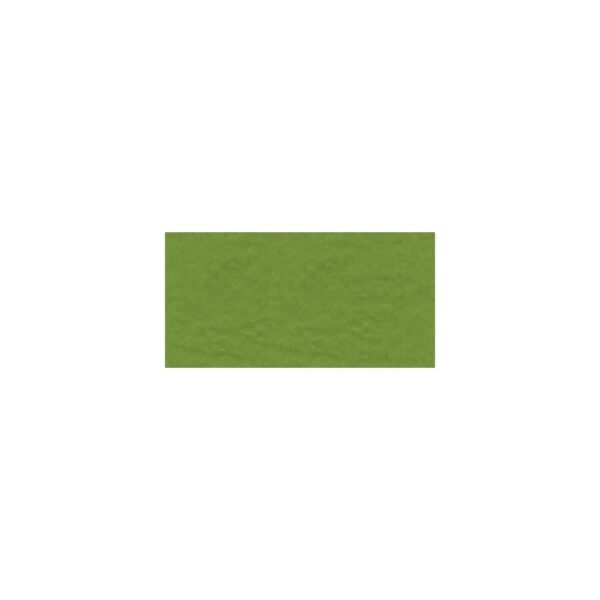 Bazzill Fourz Cardstock 12"X12"-Intense Kiwi