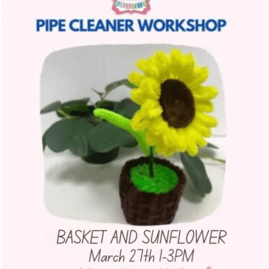 Pipe Cleaner Flower Workshops