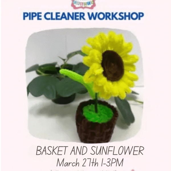 Pipe Cleaner Flower Workshops