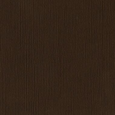 Bazzill Basic Textured Cardstock 12"X12"-Chocolate Brown