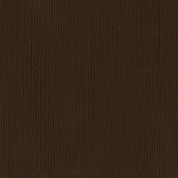 Bazzill Basic Textured Cardstock 12"X12"-Chocolate Brown